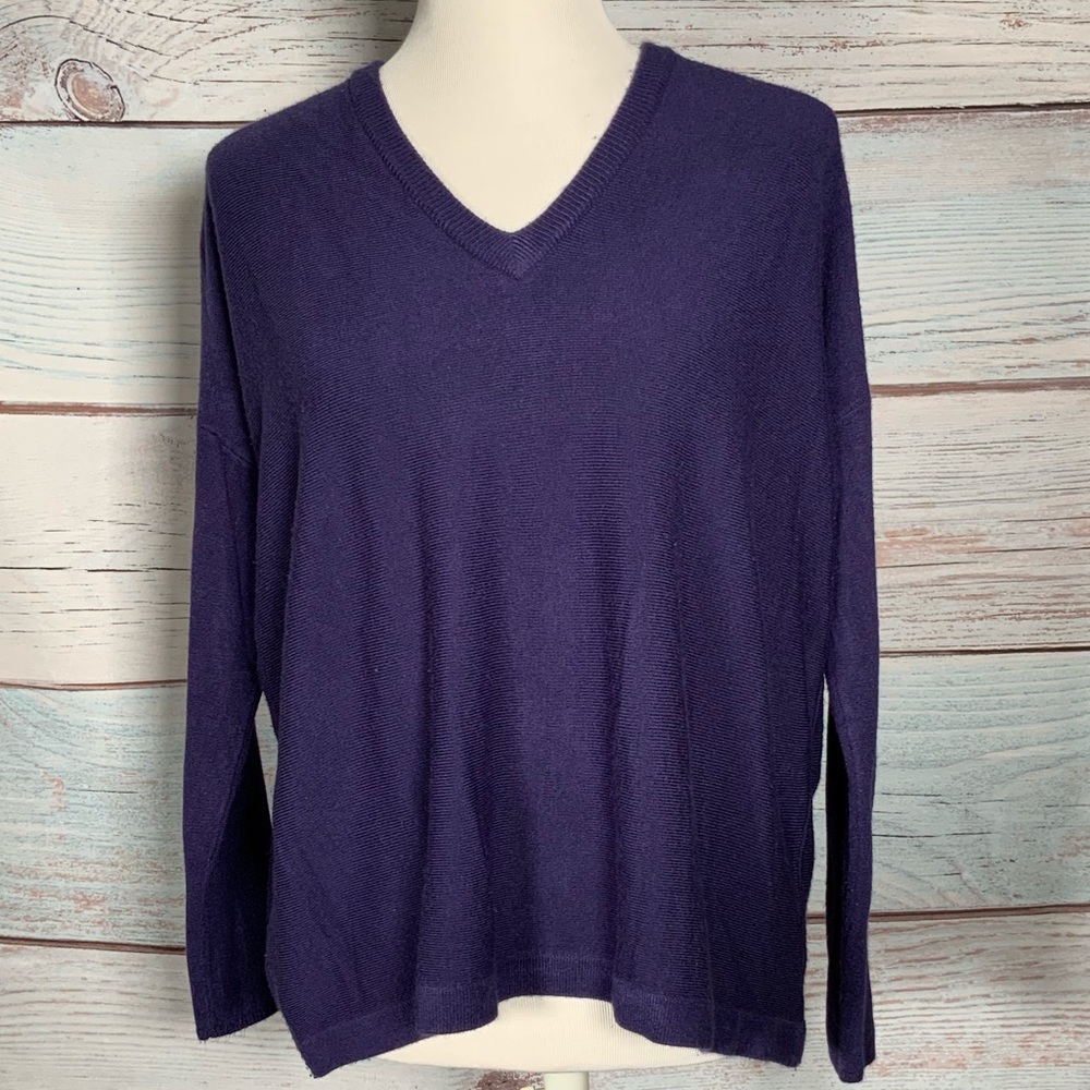 BCBG v-neck long sleeve blue sweater xs/sm EUC